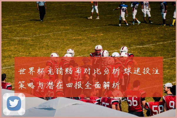 世界杯竞猜赔率对比分析 球迷投注策略与潜在回报全面解析