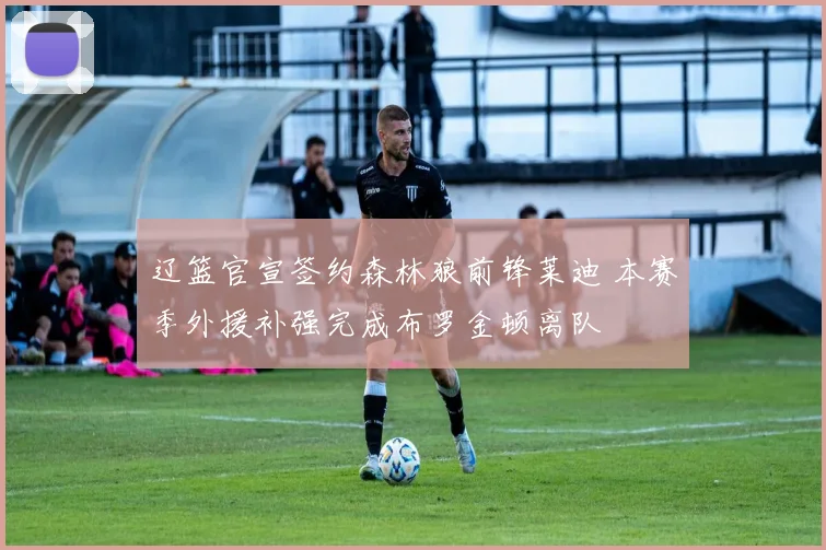 辽篮官宣签约森林狼前锋莱迪 本赛季外援补强完成布罗金顿离队