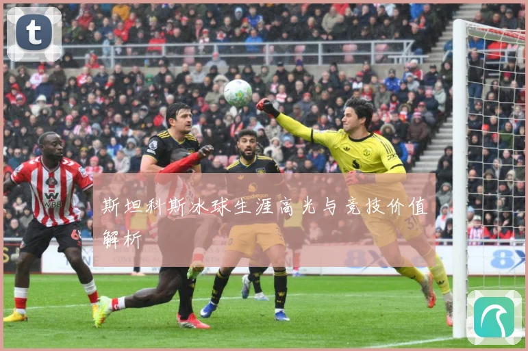 斯坦科斯冰球生涯高光与竞技价值解析