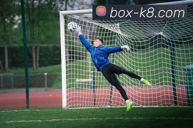 凯发娱乐平台展示图