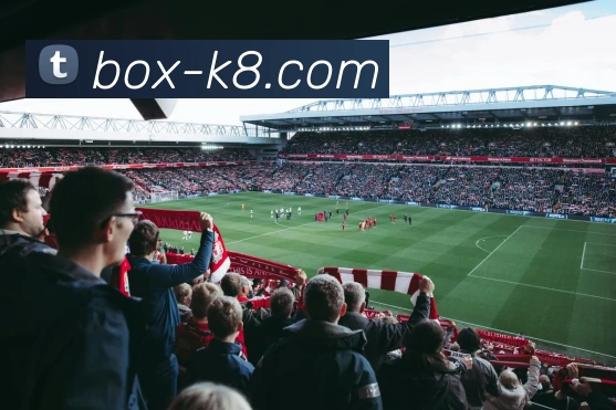 凯发娱乐全站App